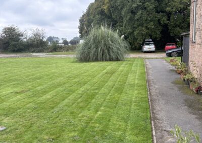 ajr lawn & garden services facebook gallery 16