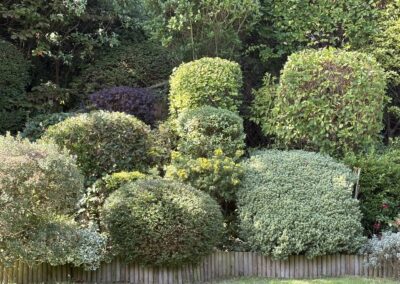 ajr lawn & garden services facebook gallery 18