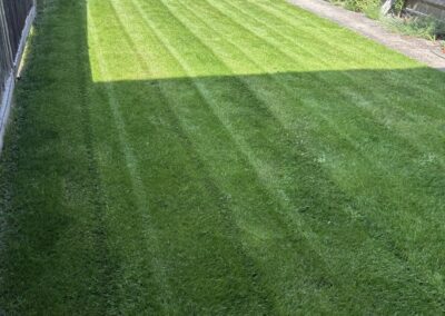 ajr lawn & garden services facebook gallery 63