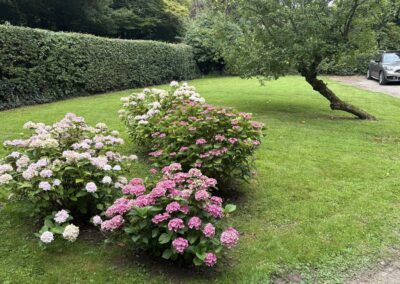 ajr lawn & garden services facebook gallery 68